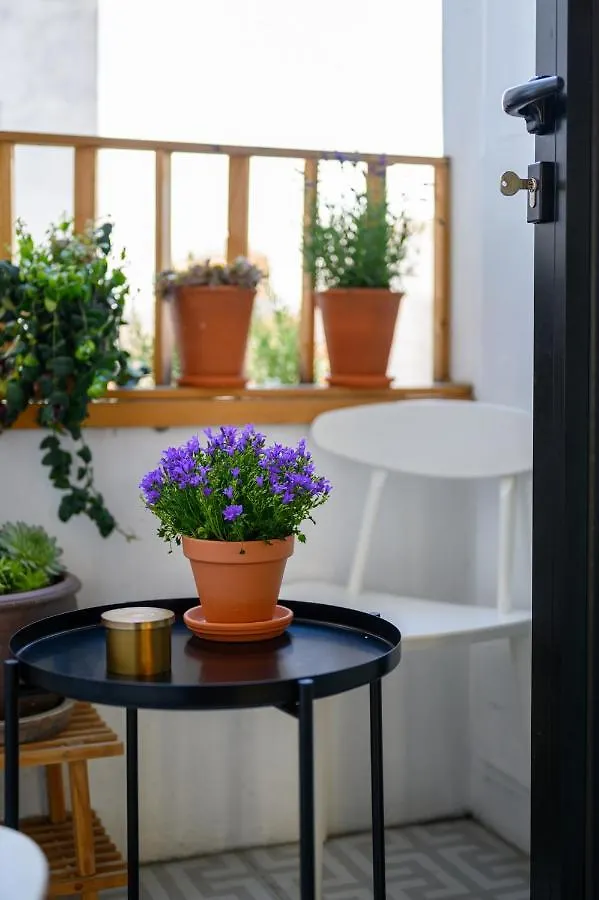 Stylish And Spacious City Center Apartment Antwerp Belgium